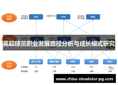 英超球员职业发展路径分析与成长模式研究 英超球员职业发展路径分析与成长模式研究