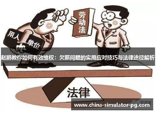 赵鹏教你如何有效维权：欠薪问题的实用应对技巧与法律途径解析