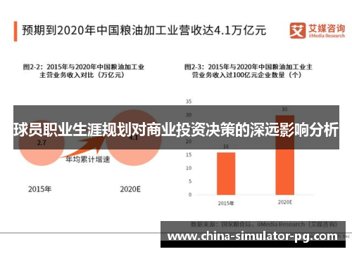 球员职业生涯规划对商业投资决策的深远影响分析